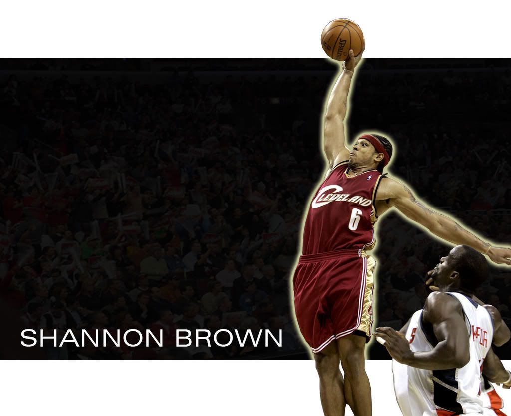 Shannon Brown Wallpaper, Background, Theme, Desktop