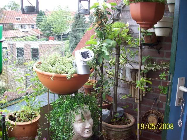 100_0321.jpg