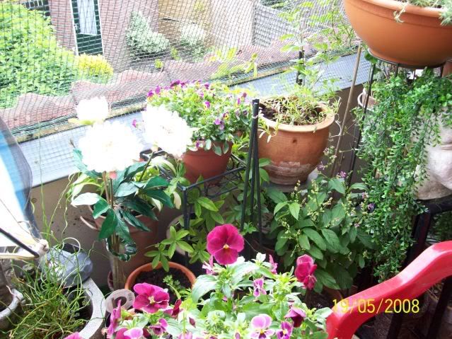 100_0322.jpg