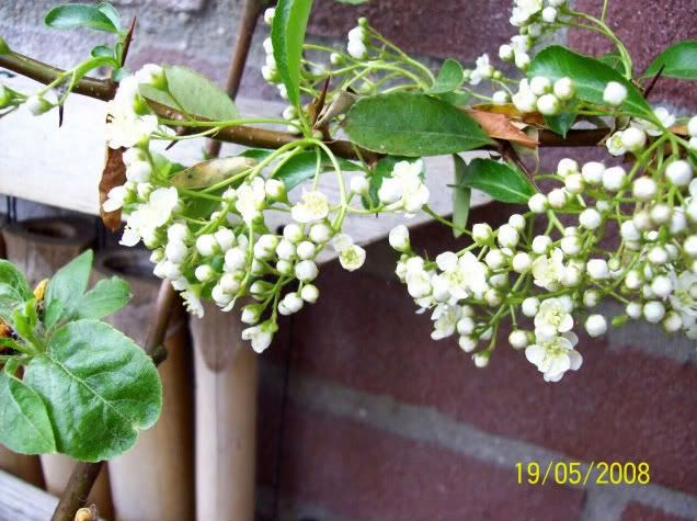 100_0326.jpg