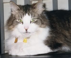 14Bearke199925apr2004.jpg