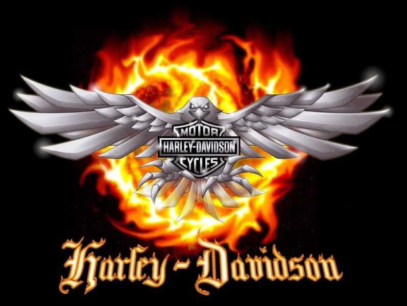 Harley-Davidson.jpg Harley Davidson image by s3xy67