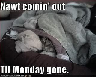 Monday Gone Cat Pictures, Images and Photos