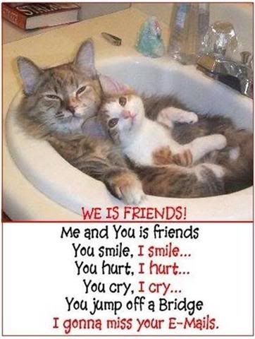 LOL Cats Friends Pictures, Images and Photos
