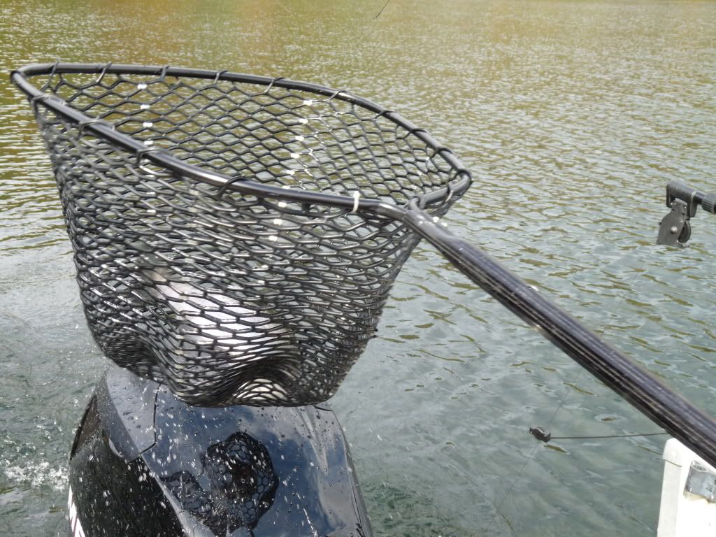 Frostbite Tuesday Snake Den to Split Rock... Fishing Lake Champlain