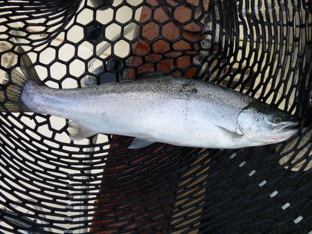 Frostbite Tuesday Snake Den to Split Rock... Fishing Lake Champlain