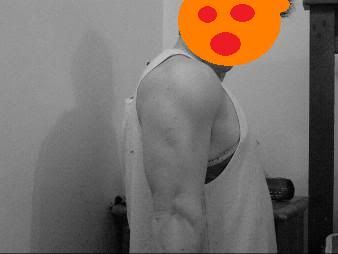 tricep3.jpg
