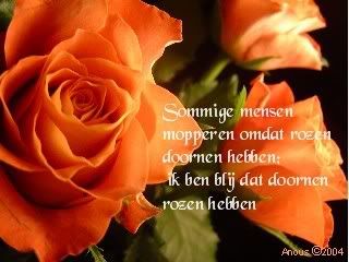 rozen.jpg gedichtjes picture by theaw55