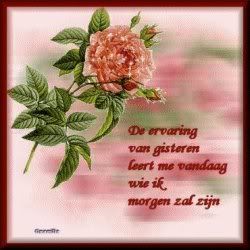 wie.jpg gedichtjes image by theaw55