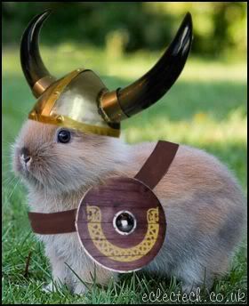 vikingbunny.jpg