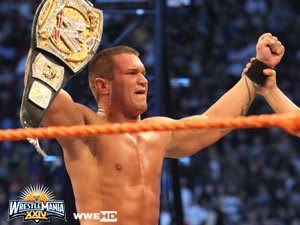 wrestlemania 24