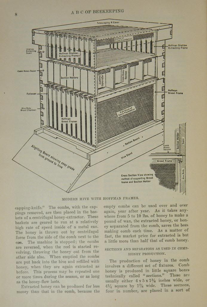 BEEKEEPING ANTIQUE BOOK Equipment BEE HIVE Honey SMOKER Apiary BEEKEEPER SUPPLY eBay