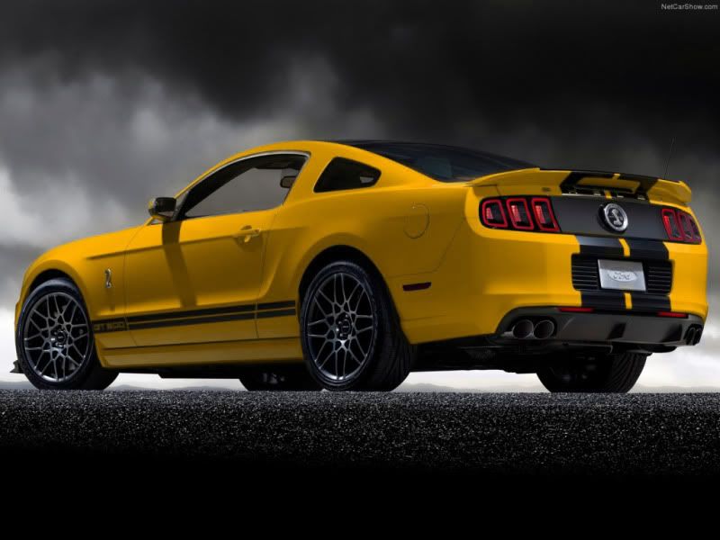 yellowshelby.jpg