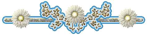 BarraFloresCTV2C68a.gif picture by Galilea17