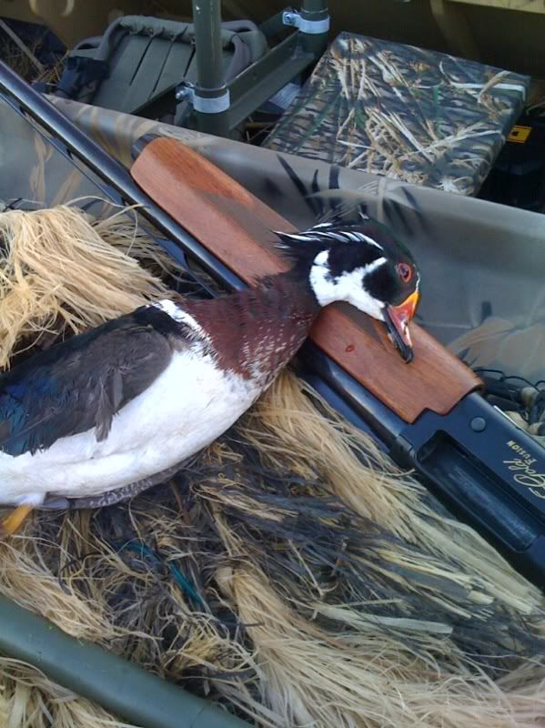 duck hunter boat build gator boats view topic duck hunter build duck hunter boat build gator boats view topic duck hunter build
