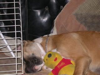 DSCN1389.jpg misery &amp;her pooh bear image by texasangel711