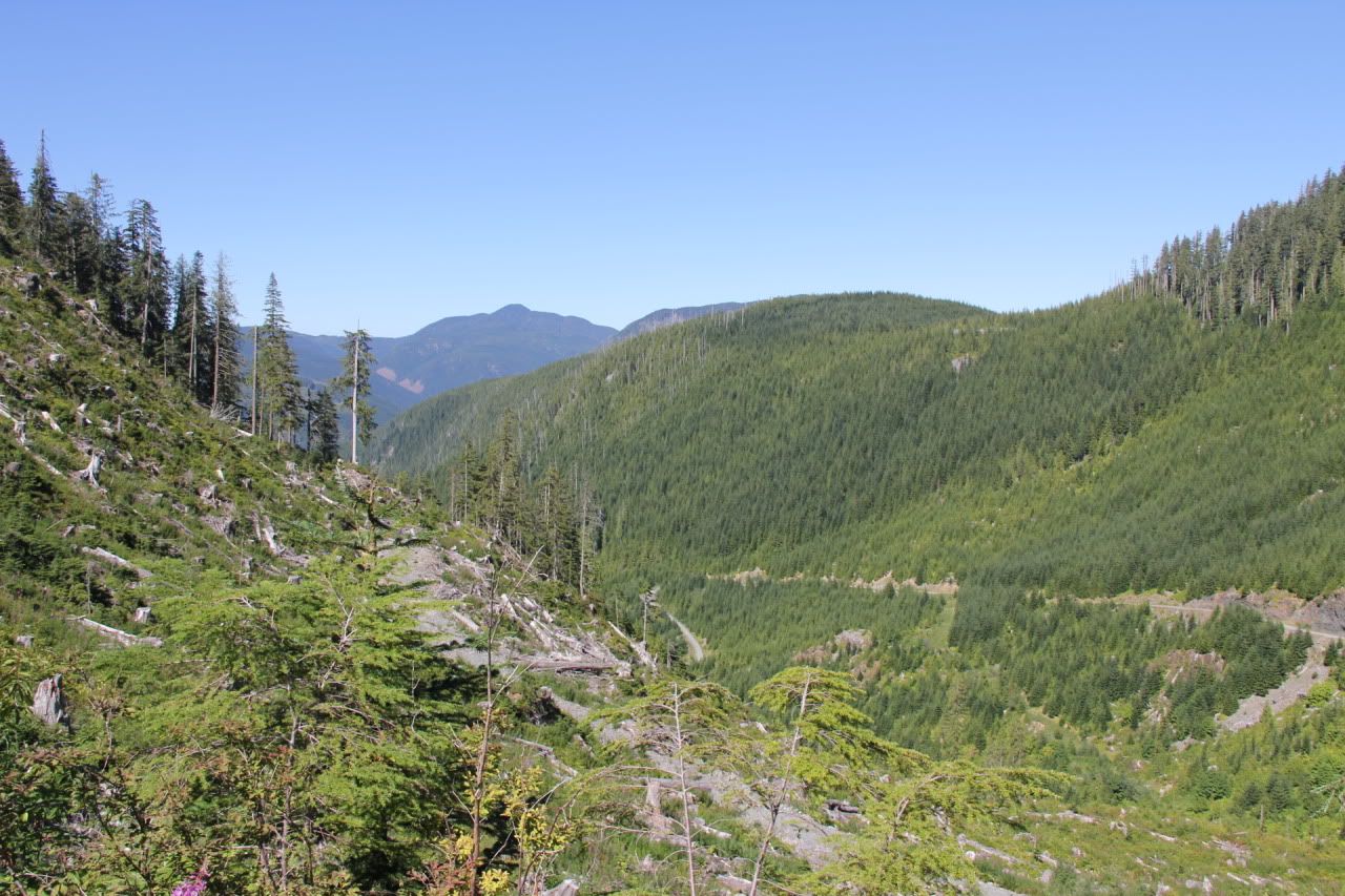 IMG_0865.jpg