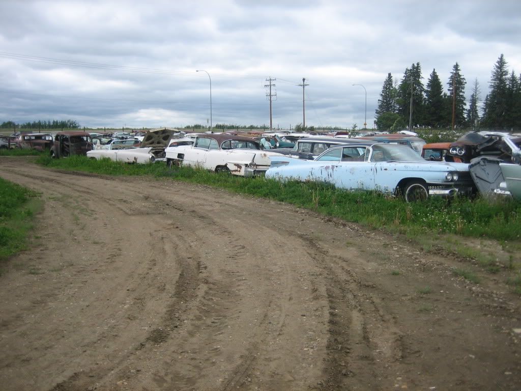 Edmonton area Hotrod shops pix The H.A.M.B.