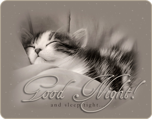 sweet dreams kitten photo: Good night and sleep tight Goodnightandsleeptight.png