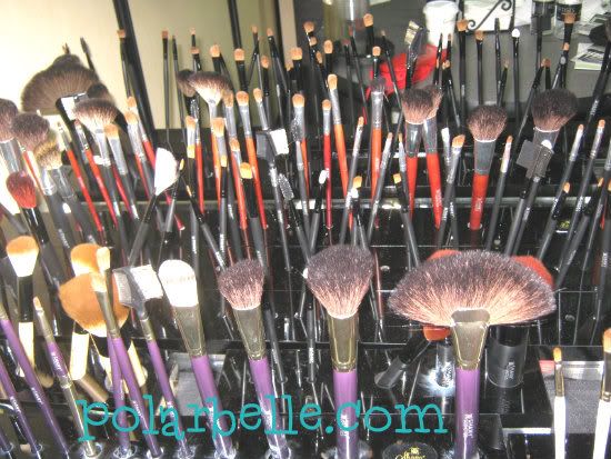 Shany Brushes