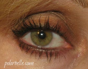 Burberry_Complete_Eye_Palette_Dark_Spice_Swatches