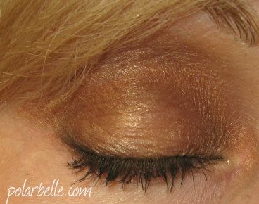 Burberry_Dark_Spice_Swatches_Complete_eye_Palette