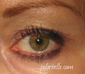 Loreal Sultry Seductress Colour Riche Eye Shadow quad