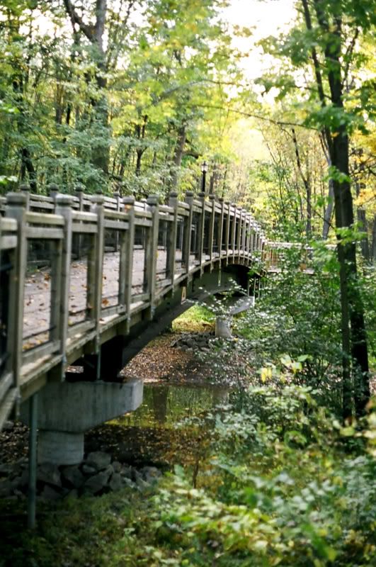 Vos Plus Belles Photos Page 40 Le coin des moucheurs