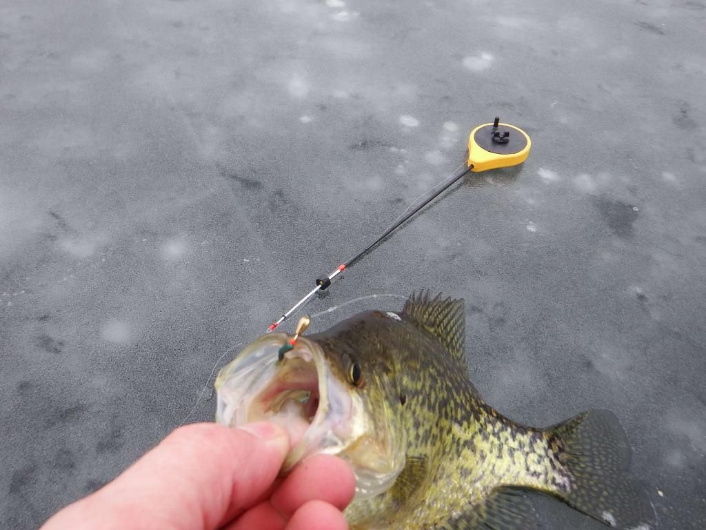 Nouvelle Canne ? Jigger. Le coin des pêcheurs sous la glace QuébecPêche