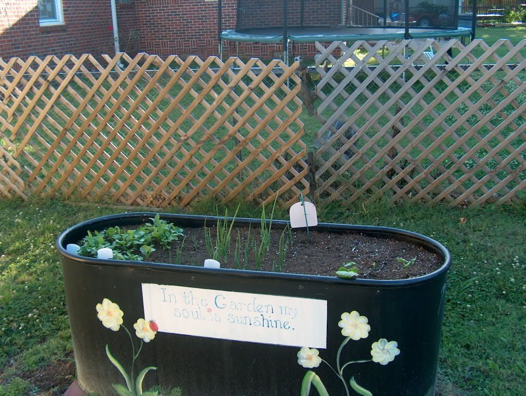 back yard veggie bed