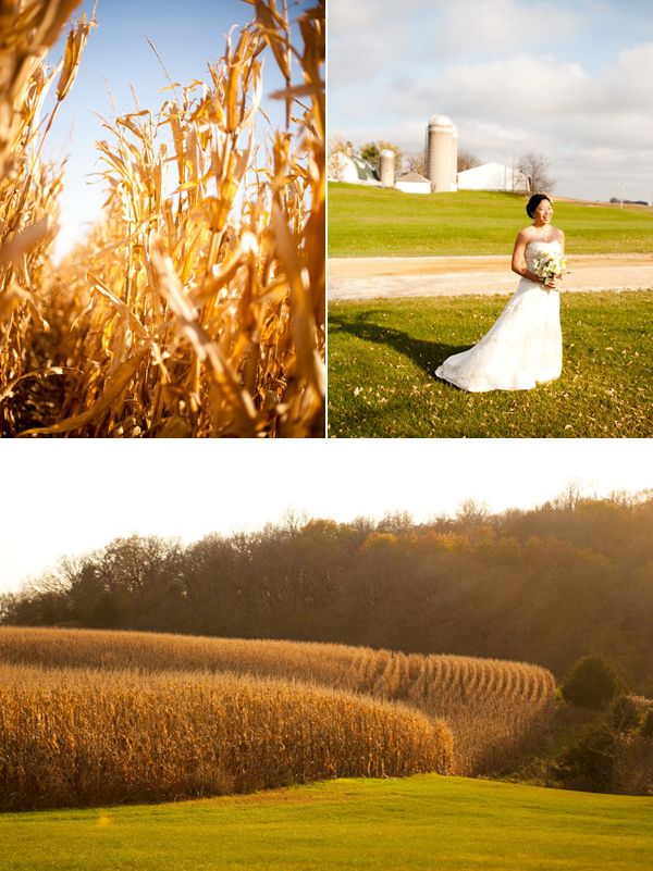 weddings in fields