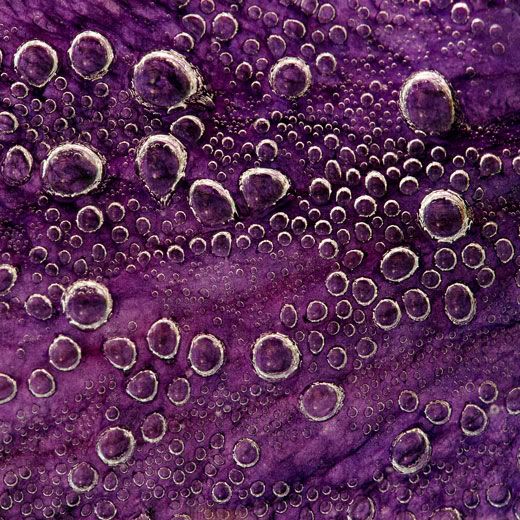 These bubbles