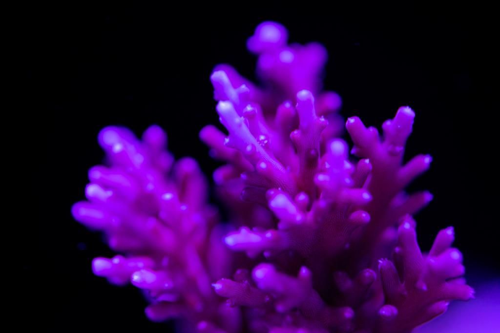 IMG_5473.jpg