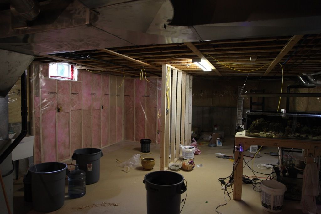 file-2404.jpg
