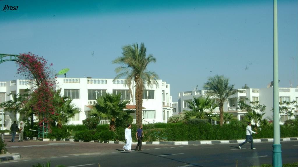 Sharm8.jpg