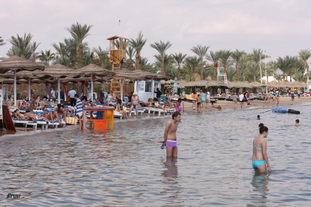 Sharm9.jpg