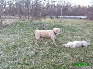Качена снимка