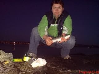 DSC01810.jpg