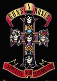 GUNZ-N-ROSES.jpg image by smithwww344