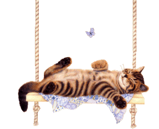 SwingKittyV.gif