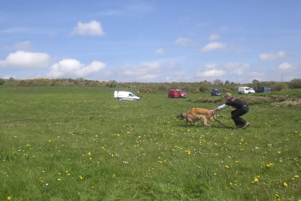 drag09074.jpg