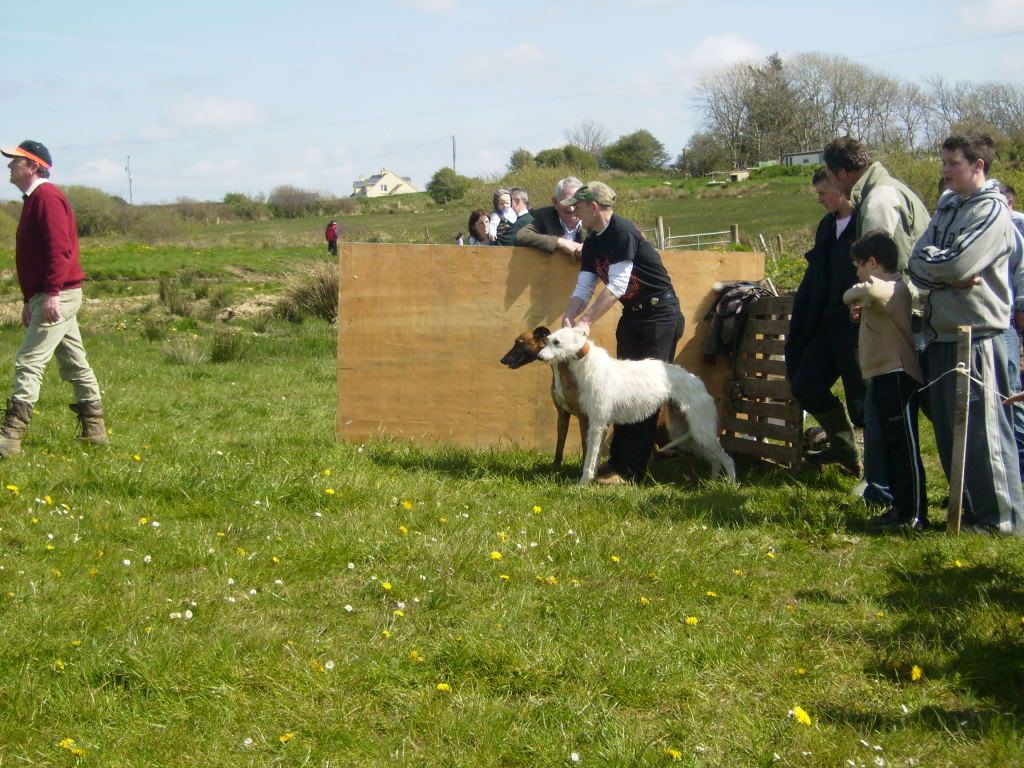 drag09157.jpg