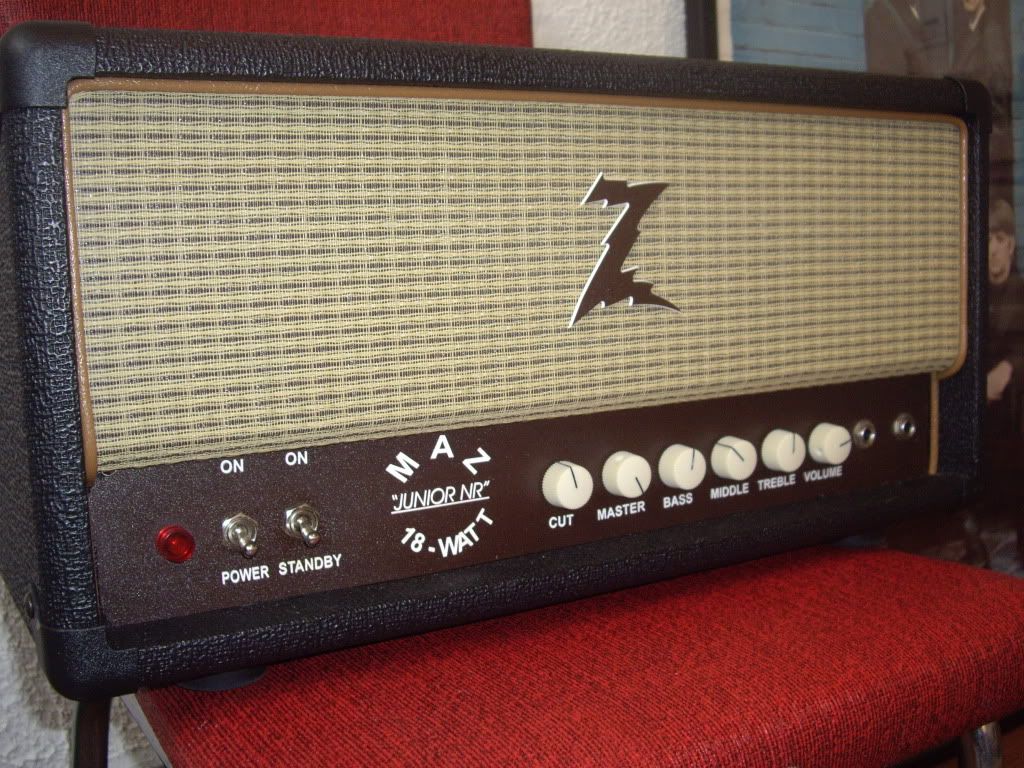FS/FT Fender, Marshall jcm 800 combo, Dr. Z 18NR head Amps Harmony