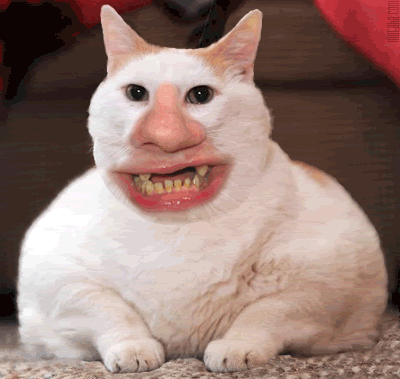 Too funny!!! - Countryside Families