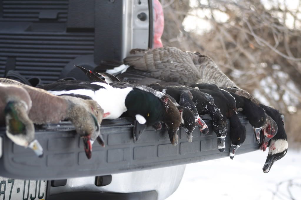 IMAGE: http://i257.photobucket.com/albums/hh223/tara4574/hitmen/Picture189.jpg