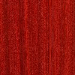 bloodwood