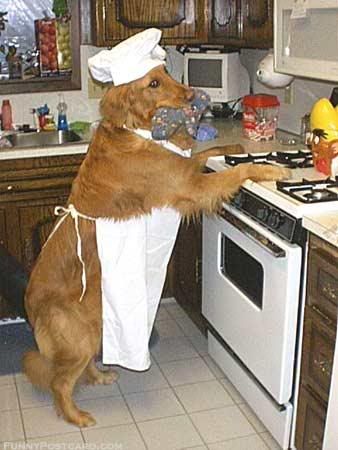 chefofthemth.jpg chef of the month image by coolgrandma26