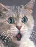 ohmy.jpg what ?? image by coolgrandma26