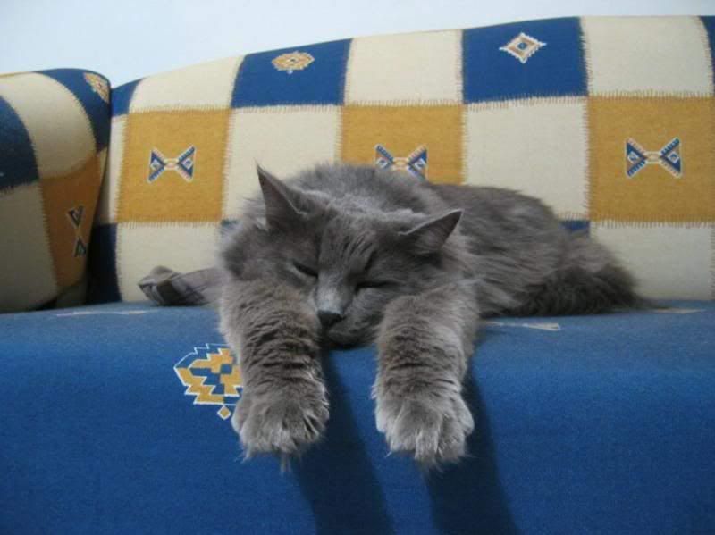 relasing.jpg relax image by coolgrandma26