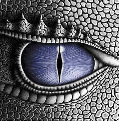 dragons eye Pictures, Images and Photos